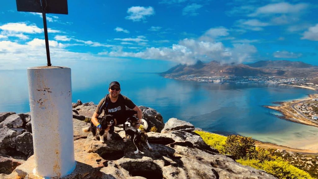 mountain, ocean, cape town